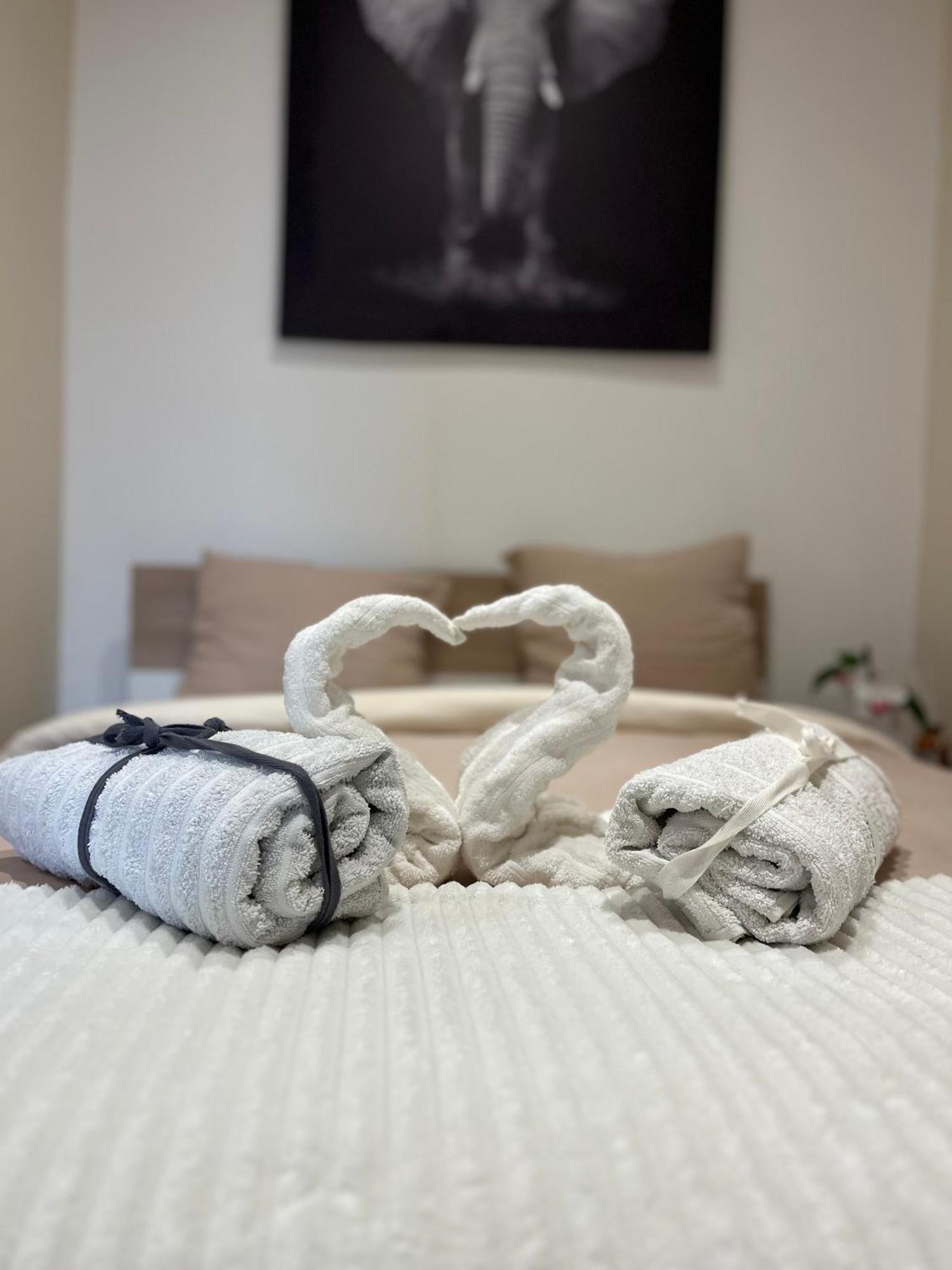 Apartment Cosy